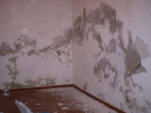 Pintura antihumedad para interiores